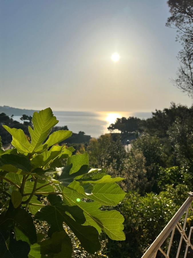 Vila Limonaia In Salento Marittima Exteriér fotografie