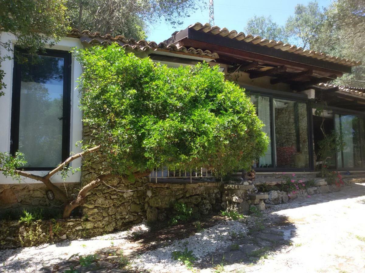 Vila Limonaia In Salento Marittima Exteriér fotografie